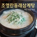 조영란동래삼계탕