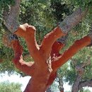 성은축산 이미지