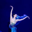 인어공주 이미지