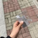 수분감 가득한 속눈썹펌 후기 / 스튜디오 보니움 오송점