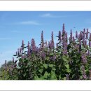 서호농장 이미지