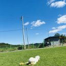 봄이야 놀자 이미지