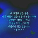 만1세 12월 하루일과,시금치의 영양성분,포항초, 섬초, 남해초,F, F, Zero 놀이체험 편식 예방을 위한 음식 예술놀이 Ⅱ. ﻿ 이미지