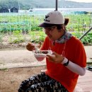 새싹3호농장 | 서울 홍은동 맛집 1인보쌈 싸움의고수 홍은동점 테이크아웃