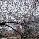 (주)더헤본
