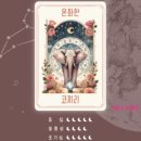 테이크파이브 이미지