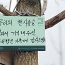 붉은 동백의 기억 이미지
