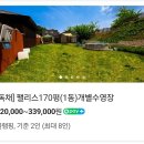 [당진] 독채마당이 있는 도그팰리스 애견글램핑 170평(1동) 내돈내산 후기