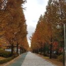 서두나루공원 네이버블로그