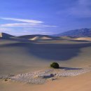 엘도라도 이미지