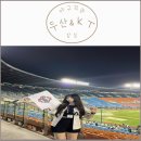 박찬호야구장야구장 | [야구 직관] 6월 18일 두산 vs KT 잠실야구장 직관 승요 후기 (1루 네이비석 308블럭 시야)