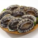 완도전복사료 이미지