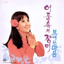 잊어도 좋으련만 / 이영숙 (1971) 이미지