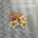 속옷나라 | 다낭한시장 쇼핑리스트 떼샷 | 아오자이 구매후기 가격시세 속옷가게번호 원피스 나이키