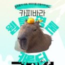메인기획 이미지