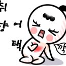 드레스덴파츠 이미지