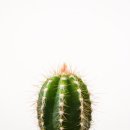 우진특장 이미지