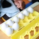 유도융합발달센터 네이버블로그