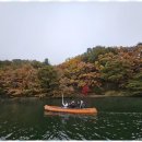 로하스테이 이미지