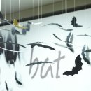 굳디컴퍼니 이미지