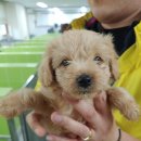 공단로-2 이미지