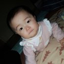 널부르는소리야 이미지