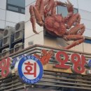 오양카 이미지