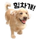 매드후라이치킨동수원 이미지