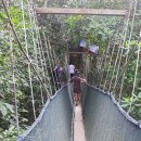 웰컴캐노피 이미지