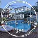 바베큐피크닉 고기도 구워먹고 물놀이도 즐길 수 있는 수영장 카페 추천:) '샵51 '내돈내산 솔직후기