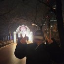 울산아지매집 | [12월 일상] 2025의 마지막