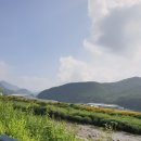 카우보이 캠핑장 이미지