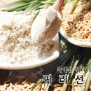 고소미선식