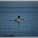 태백목장 이미지