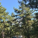 인형박스 비파점 | 강릉 세인트존스 호텔 36개월 아기랑 비수기 여행!