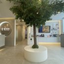 별고운빛의원 이미지