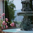 그린키친 이미지