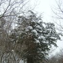 도계초교 이미지