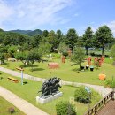 (주)연안항공여행사 이미지