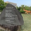 평화의 섬 제주 국제마라톤대회 10Km 완주하다 이미지