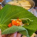 건대통통골뱅이 네이버블로그