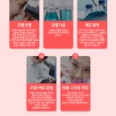 플라워뷰티