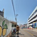 청춘당꽈배기녹동점 - 28047 | 청춘당꽈배기녹동점