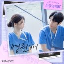 담백한 이미지
