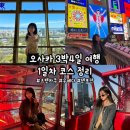도깨비 PC방(청주본점) | [오사카] 오사카 3박 4일 여행 1일차 코스 (라피트, 환전, 츠텐카쿠, 우메다 맛집, 햅파이브 관람차...