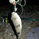 고래꿈호텔 이미지