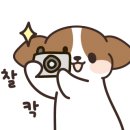 현우상회 이미지