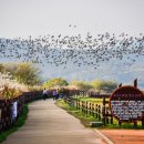 주남저수지 이미지