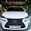 프리미엄스팀세차 이미지