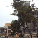 부영5차 이미지